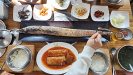 하림국제여행사 | 하림여행사 제주도미니버스