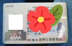 뛰뛰빵빵원주실내운전연습장 | 뛰뛰빵빵 원주실내운전연습장
