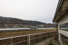 능길머위산업경영회 | 농업회사법인 능길머위산업