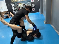 제이멀티짐주짓수종합격투기키즈MMA태권도 | MMA STORY 복싱과주짓수