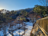 산속애