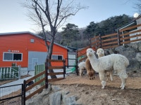 산속애