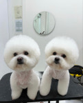 한국하이른파마 주식회사 | 파마네