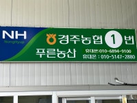 경주농협중도매인1번