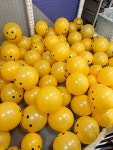 챔피언 홈플러스인천청라점