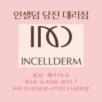 인셀덤당진원당점 | 인셀덤 당진대리점