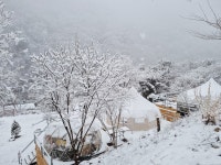 놀자365닷컴.뇌운계곡글램핑 | 뇌운계곡글램핑