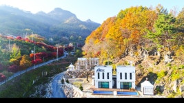 피앤피펜션