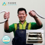 지성양만