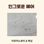 주식회사 럭셔리뷰티 동탄호수점 | 아르까노뷰티&왁싱 동탄점
