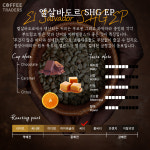 커피트레이더스