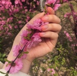 샤이나프로헤어 | 샤이나