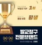 굿피트골든케어대리점 | 굿피트코리아 환국대리점