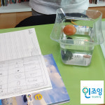 인조잉영어 | 인조잉