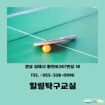 김해탁구