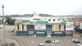 강화인삼센타제13호 | 강화초지인삼센타