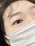 플럼미