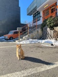 쿠커피(Coup Coffee 강남점) | IT COF : 금남리커피