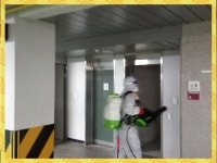 스피죤방역안양지점 | 스피죤방역 안양지점