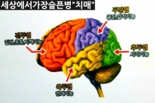 백세인생 주야간보호센터 시설 사진
