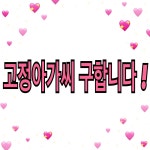 삼사파크룸가요주점 | 발리룸가요주점