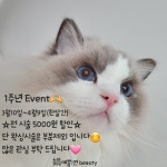 연(連)뷰티 | 예쁠연뷰티