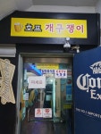 호프월드개구쟁이