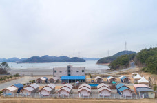 Naver search result photo 2