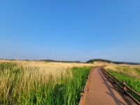 파랑