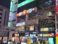 술마시는사랑노래홀 | 술마시는쿵쿵따노래홀