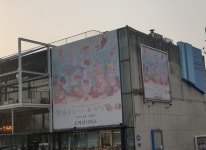 오페라 디바스