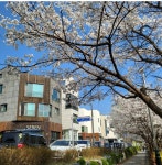 세렌