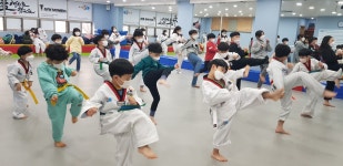 송우충효태권도 | 충효태권도합기도 탄방관