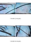 태후사랑 성도미용실 | 태후앤샵헤어 남외점