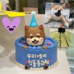 견식도락대구수성점 | 견식도락 대구수성점