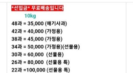 주왕산대박농원 | 청송좋은농원