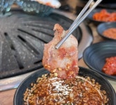 뚱돼지