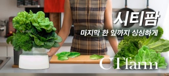 베러베지팜 | 베지디아 시티팜