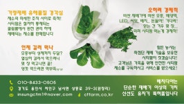 베러베지팜 | 베지디아 시티팜