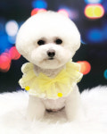 심쿵펫샵