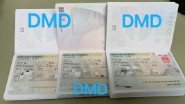 신풍한중여행사 | DMD한중여행사