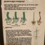 제이테라피