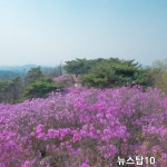 뉴탑텐노래타운 | 뉴스탑텐뉴스탑10