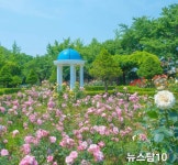 뉴탑텐노래타운 | 뉴스탑텐뉴스탑10