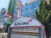 웅부상사개나리벽지 | 경남개나리벽지