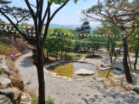 산속애