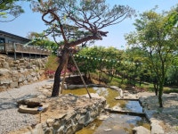 산속애
