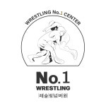 레슬링넘버원