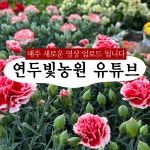 연두빛농원