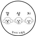 강삼지강아지미용실